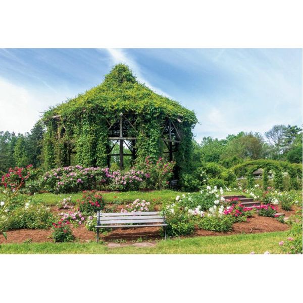 party decoration natural scenery backdrop pavilion covered with vines pography background decor born wedding po booth prop
party decoration natural scenery backdrop pavilion covered with vines pography background decor born wedding po booth prop