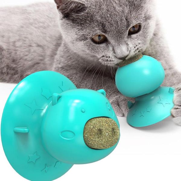 cat toys funny mint kitten pig head shape improves appetite excites your feline dental toy suction cup base catnip ball
cat toys funny mint kitten pig head shape improves appetite excites your feline dental toy suction cup base catnip ball