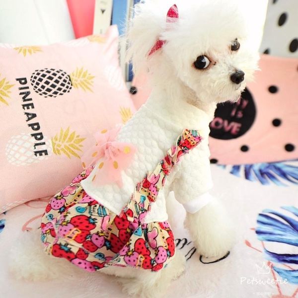 dog apparel strawberry print gril dresses pink winter autumn pet coat puppy cotton xs xl shih tzu cat outfit fashion shop drop
dog apparel strawberry print gril dresses pink winter autumn pet coat puppy cotton xs xl shih tzu cat outfit fashion shop drop