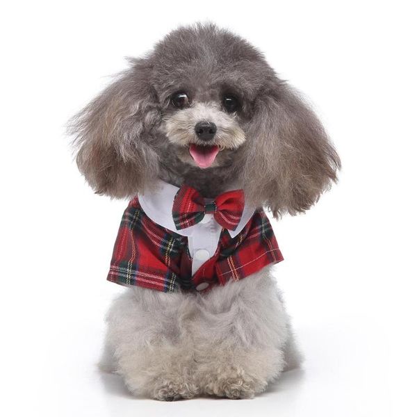 dog apparel pet clothes fashion suit birthday po dress product teddy bichon tuxedo wedding
dog apparel pet clothes fashion suit birthday po dress product teddy bichon tuxedo wedding