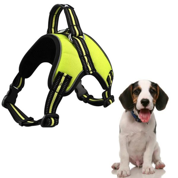 dog collars & leashes saddle-type harness chihuahua chest straps vest lead mesh shining large harnesses pet products for puppy accessories
dog collars & leashes saddle-type harness chihuahua chest straps vest lead mesh shining large harnesses pet products for puppy accessories