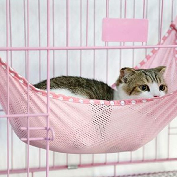 1pc spring summer cat hammock breathable hanging bed practical pet supply beds & furniture
1pc spring summer cat hammock breathable hanging bed practical pet supply beds & furniture