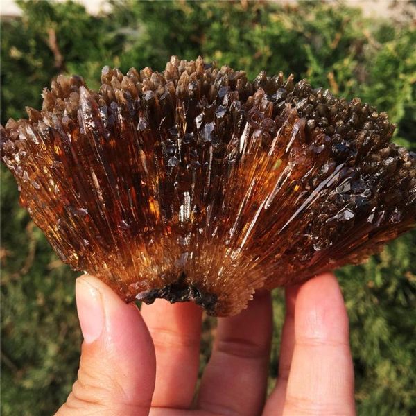 decorative objects & figurines 1pcs natural yellow amber calcite stone crystal gem collection of rough rock mineral specimens healing ho
decorative objects & figurines 1pcs natural yellow amber calcite stone crystal gem collection of rough rock mineral specimens healing ho