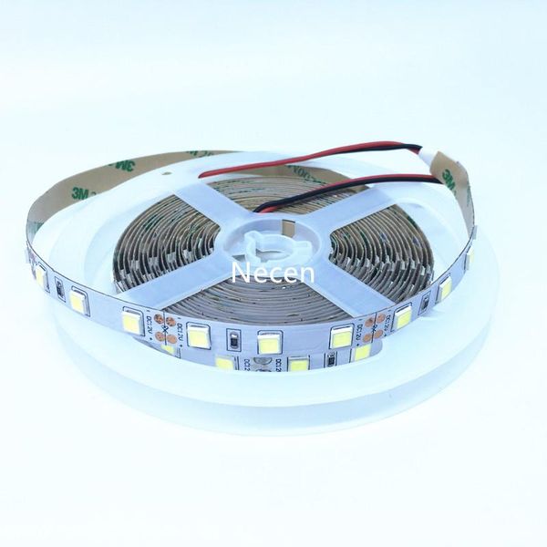 necen 5054 smd cool white/warm white color led strip lights non waterproof dc 12v 5m/roll 300leds super bright strips
necen 5054 smd cool white/warm white color led strip lights non waterproof dc 12v 5m/roll 300leds super bright strips