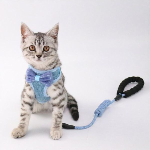 cat collars & leads double-layer mesh traction rope for pet butterfly festival anti-fracture corset supplies
cat collars & leads double-layer mesh traction rope for pet butterfly festival anti-fracture corset supplies