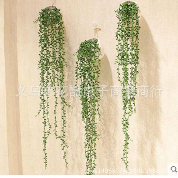 decorative flowers & wreaths european-style pastoral artificial flower simulation lover tear beads succulent plant wall hanging orchid ratta
decorative flowers & wreaths european-style pastoral artificial flower simulation lover tear beads succulent plant wall hanging orchid ratta
