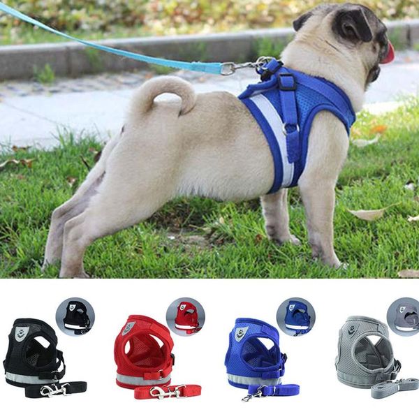 no pull puppy dog harness leash padded vest for small dogs reflective pet pug nylon chihuahua supplies mesh collars & leashes
no pull puppy dog harness leash padded vest for small dogs reflective pet pug nylon chihuahua supplies mesh collars & leashes