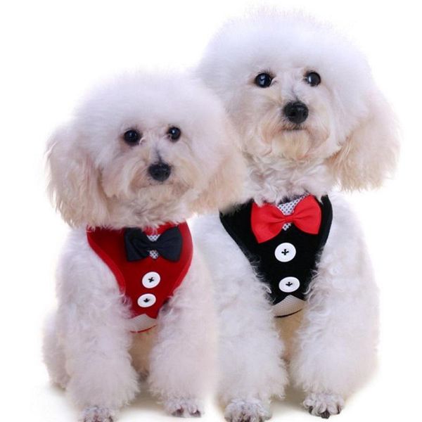 dog collars & leashes pet products 1.2m harnesses cute lovely vest with classic bow black red harness for small dogs puppy
dog collars & leashes pet products 1.2m harnesses cute lovely vest with classic bow black red harness for small dogs puppy