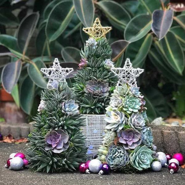 christmas decorations succulents tree ornament with star resin realistic artificial plants deskfor decor
christmas decorations succulents tree ornament with star resin realistic artificial plants deskfor decor