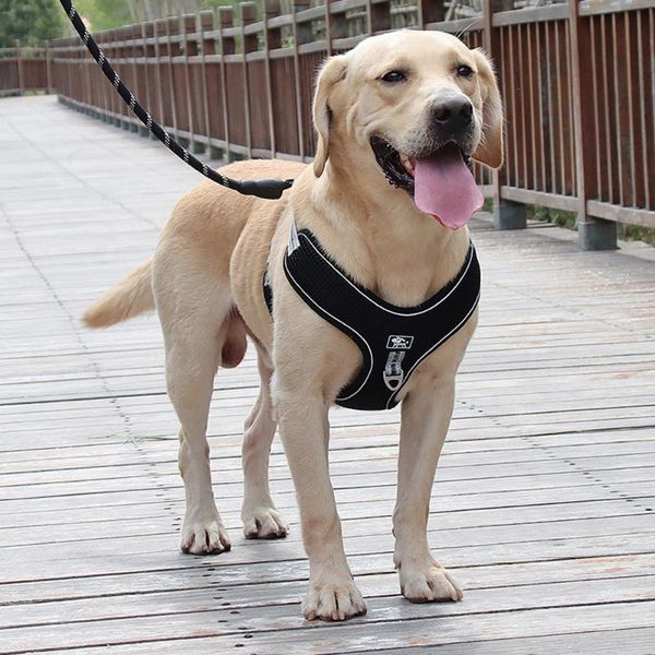 dog collars & leashes pet leash big chest harness reflective and breathable rope walking supplies
dog collars & leashes pet leash big chest harness reflective and breathable rope walking supplies