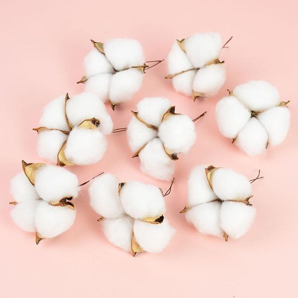 decorative flowers & wreaths 5/10pcs natural dried kapok cotton artificial for wedding christmas party home decorations diy craft wreath
decorative flowers & wreaths 5/10pcs natural dried kapok cotton artificial for wedding christmas party home decorations diy craft wreath