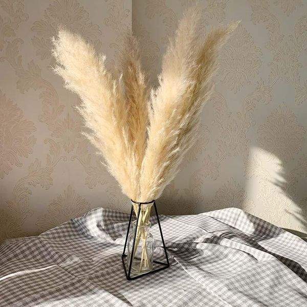 decorative flowers & wreaths 55cm pampas grass decor extra large natural dried bouquet wedding vintage style for home valentine's
decorative flowers & wreaths 55cm pampas grass decor extra large natural dried bouquet wedding vintage style for home valentine's