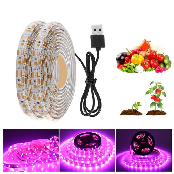 plant grow light 60leds/m smd 2835 full spectrum led growing strip waterproof phyto lamp for indoor garden lights
plant grow light 60leds/m smd 2835 full spectrum led growing strip waterproof phyto lamp for indoor garden lights
