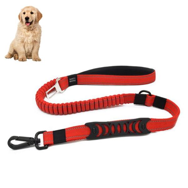 dog collars & leashes 110-150cm pet lead leash automatic retractable nylon walking for outdoor security training supplies
dog collars & leashes 110-150cm pet lead leash automatic retractable nylon walking for outdoor security training supplies