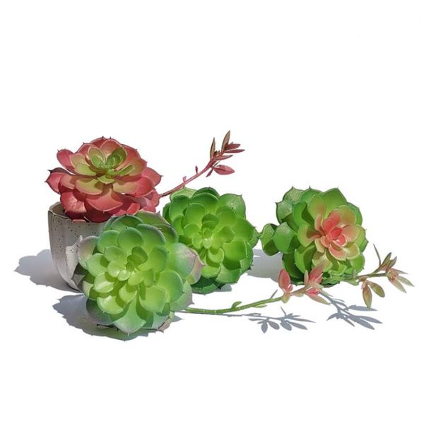 decorative flowers & wreaths artificial succulents plants plastic fake green diy unpotted small bonsai for home garden bedroom living room n
decorative flowers & wreaths artificial succulents plants plastic fake green diy unpotted small bonsai for home garden bedroom living room n