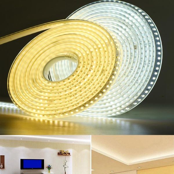 strips smd5730 220v led strip 120leds 8w/m with eu plug and switch flexible light waterproof outdoor use tape
strips smd5730 220v led strip 120leds 8w/m with eu plug and switch flexible light waterproof outdoor use tape