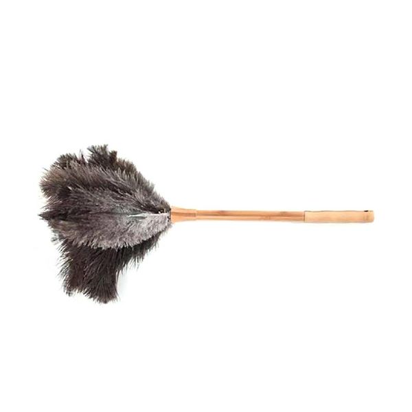 feather duster,ostrich duster fluffy natural ostrich feathers and eco-friendly wooden long handle vacuum cleaners
feather duster,ostrich duster fluffy natural ostrich feathers and eco-friendly wooden long handle vacuum cleaners
