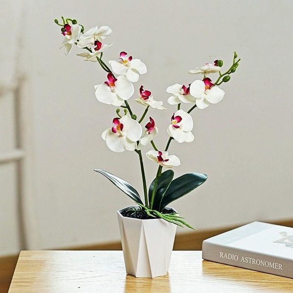 decorative flowers & wreaths high-quality artificial flower 2 forks phalaenopsis potted plant, 45 cm, homedecorations, small bonsai decorati
decorative flowers & wreaths high-quality artificial flower 2 forks phalaenopsis potted plant, 45 cm, homedecorations, small bonsai decorati