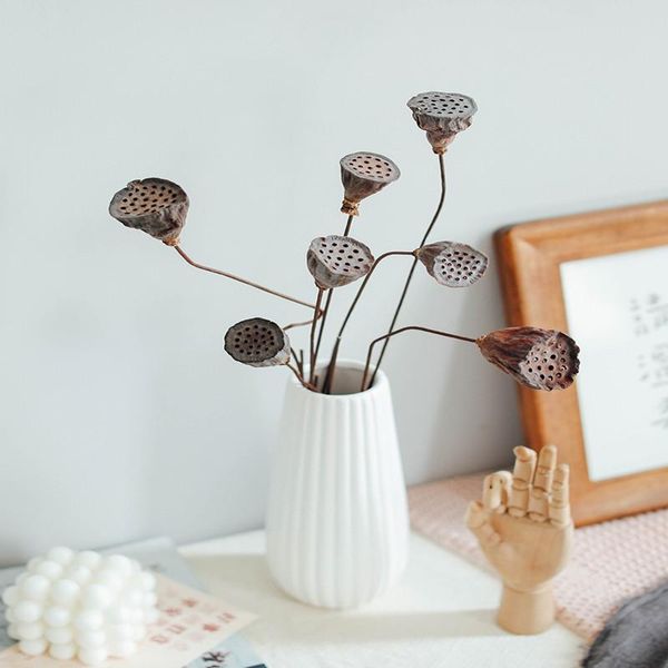 decorative flowers & wreaths 1/3 pcs lotus diy natural dried flower preserved plants farmhouse retro style garden table bedroom
decorative flowers & wreaths 1/3 pcs lotus diy natural dried flower preserved plants farmhouse retro style garden table bedroom