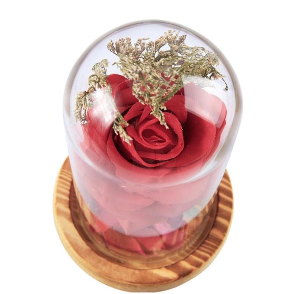 vases simulation glass cover rose decoration furniture fake flower micro landscape gift ornaments
vases simulation glass cover rose decoration furniture fake flower micro landscape gift ornaments