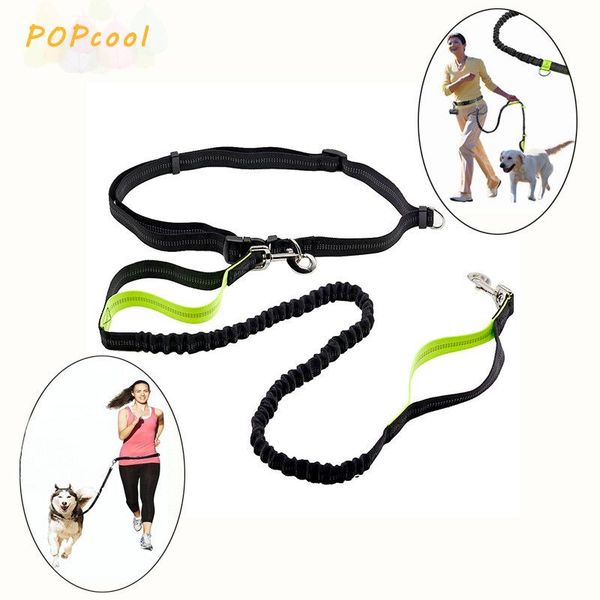dog collars & leashes retractable dogs leash running elasticity hand y pet products harness collar jogging lead adjustable waist belt r
dog collars & leashes retractable dogs leash running elasticity hand y pet products harness collar jogging lead adjustable waist belt r