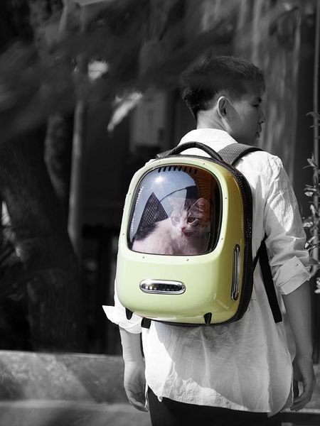 cat carriers,crates & houses space pet backpack go out portable cage ventilation spacious room built-in lighting carrier
cat carriers,crates & houses space pet backpack go out portable cage ventilation spacious room built-in lighting carrier