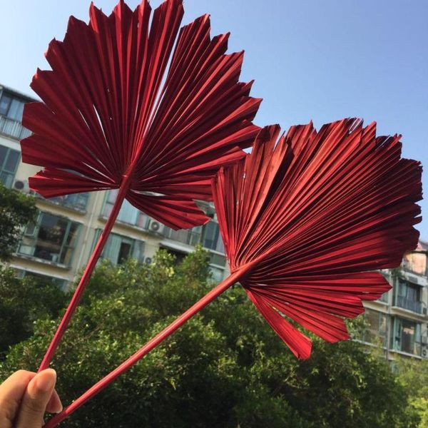 decorative flowers & wreaths 10pcs,/40cm,natural dried fan palm leaf,eternell display flower diy crafts home wedding decoration po props acc
decorative flowers & wreaths 10pcs,/40cm,natural dried fan palm leaf,eternell display flower diy crafts home wedding decoration po props acc