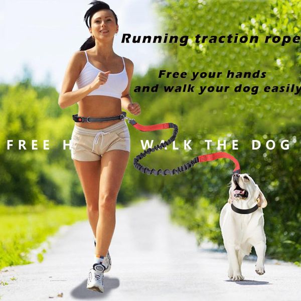 hands-dog chains nylon rope sports pet goods belt running reflective traction personalised collar collars & leashes
hands-dog chains nylon rope sports pet goods belt running reflective traction personalised collar collars & leashes