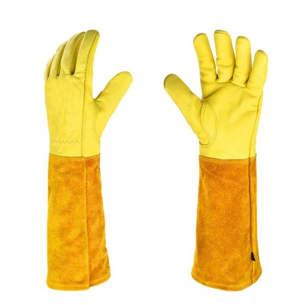 disposable gloves glove safety professional rose pruning thorn resistant gardening with long forearm protection for men and women
disposable gloves glove safety professional rose pruning thorn resistant gardening with long forearm protection for men and women