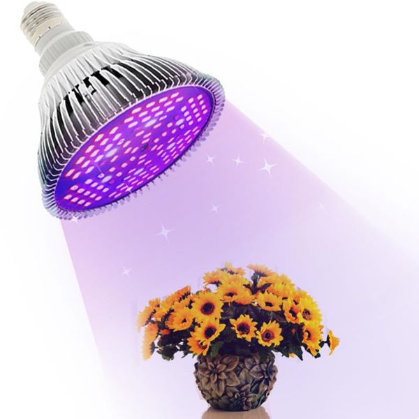 lamp for plants led grow light full spectrum bulb phyto posynthesis indoor flowers and seedlings lights
lamp for plants led grow light full spectrum bulb phyto posynthesis indoor flowers and seedlings lights