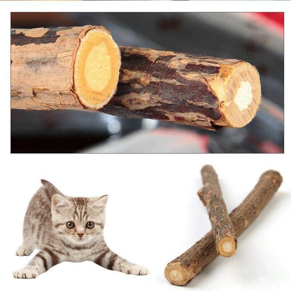 cat toys 30pcs molar toothpaste branch cleaning teeth silvervine stick pet supplies pure natural catnip 2021
cat toys 30pcs molar toothpaste branch cleaning teeth silvervine stick pet supplies pure natural catnip 2021