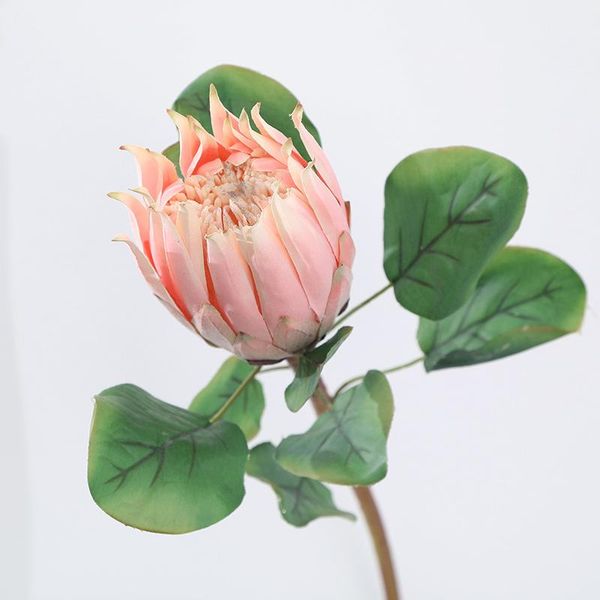 decorative flowers & wreaths simulation protea pography creative props home living room balcony tabledecor artificial
decorative flowers & wreaths simulation protea pography creative props home living room balcony tabledecor artificial