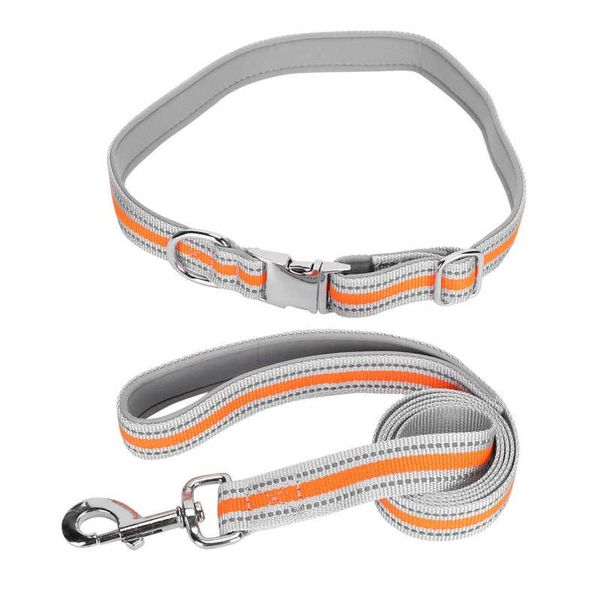 size reflective pet collars neoprene+alloy comfortable lining with leash set anti-lost night walking supplies dog & leashes
size reflective pet collars neoprene+alloy comfortable lining with leash set anti-lost night walking supplies dog & leashes