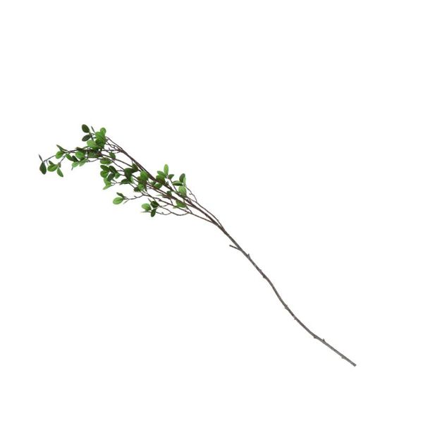 decorative flowers & wreaths 1pc milan leaf branch decor artificial plant simulation decoration
decorative flowers & wreaths 1pc milan leaf branch decor artificial plant simulation decoration