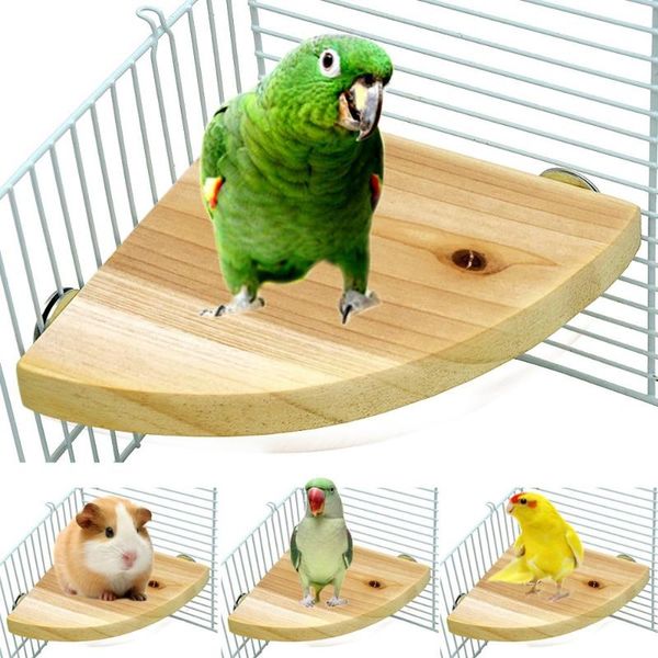 other bird supplies pet wooden platform stand rack hamster parrot parakeet rest holder for cage mouth claw grinding toy accessories
other bird supplies pet wooden platform stand rack hamster parrot parakeet rest holder for cage mouth claw grinding toy accessories