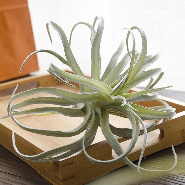 decorative flowers & wreaths realistic ornament simulation succulent air artificial plant potted home decor
decorative flowers & wreaths realistic ornament simulation succulent air artificial plant potted home decor