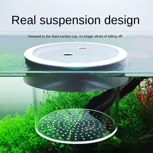 aquariums fish pet accessories aquarium tank tortoise box
aquariums fish pet accessories aquarium tank tortoise box