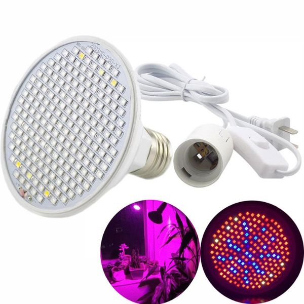 grow lights full spectrum 200 led plant light lamp e27 ac cable set for flower hydroponic indoor greenhouse cultivation t1
grow lights full spectrum 200 led plant light lamp e27 ac cable set for flower hydroponic indoor greenhouse cultivation t1