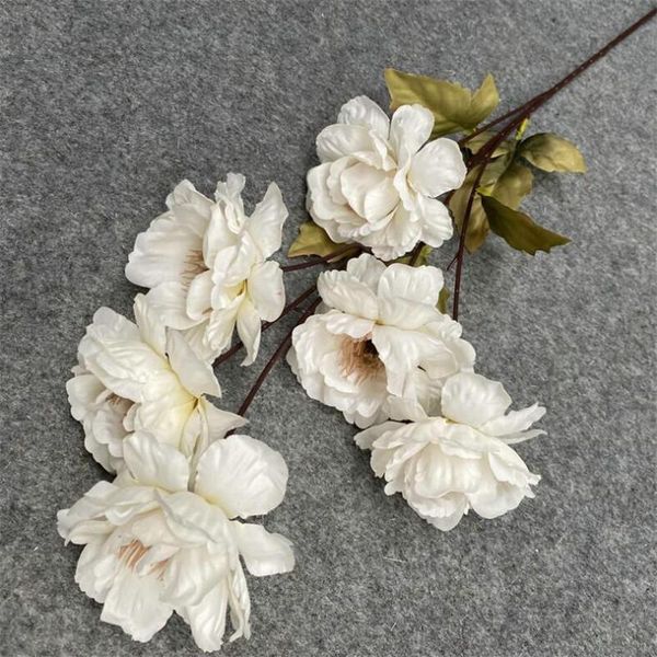 one long stem 6 heads silk peony flower branch artificial common for wedding centerpieces home floral decoration decorative flowers & wreath
one long stem 6 heads silk peony flower branch artificial common for wedding centerpieces home floral decoration decorative flowers & wreath