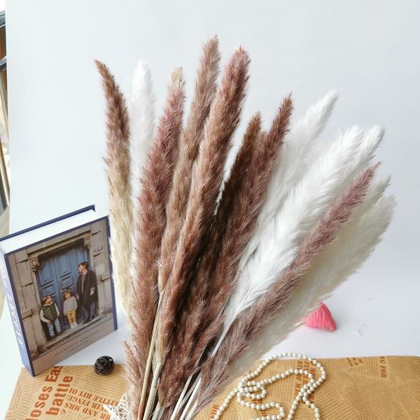 decorative flowers & wreaths 15pcs natural dried reed bulrush fleur de pampa grass arrangement wedding flower marriage party home decor acce
decorative flowers & wreaths 15pcs natural dried reed bulrush fleur de pampa grass arrangement wedding flower marriage party home decor acce