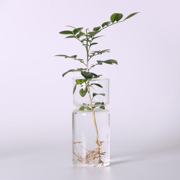 vases transparent diy landscape bottle terrarium container crystal glass flower vase hyacinth home decor
vases transparent diy landscape bottle terrarium container crystal glass flower vase hyacinth home decor