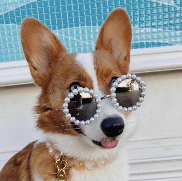 dog apparel style pet pearl sunglasses eye-wear glasses props accessories supplies cat for small medium dogs pos yhc75
dog apparel style pet pearl sunglasses eye-wear glasses props accessories supplies cat for small medium dogs pos yhc75