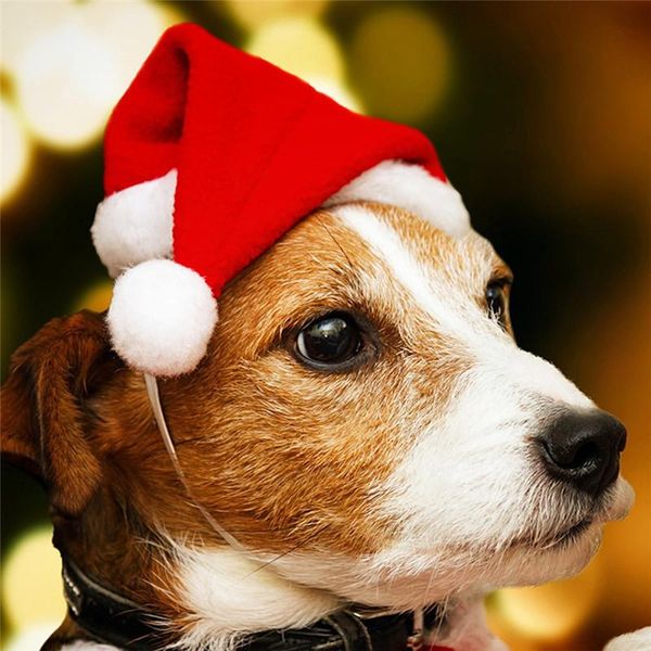dog apparel 1 pc christmas santa hat small plush for pet cat kid year decoration cap headwear costume accessories
dog apparel 1 pc christmas santa hat small plush for pet cat kid year decoration cap headwear costume accessories
