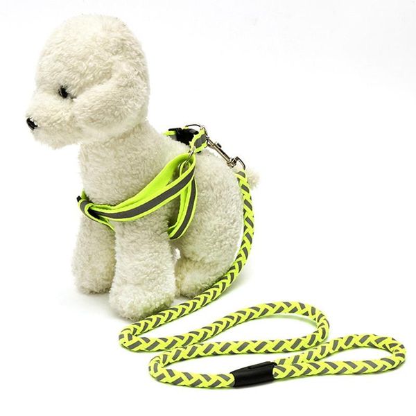 dog collars & leashes pet reflective leash set night safety collar adjustable dogs nylon harness traction rope leads
dog collars & leashes pet reflective leash set night safety collar adjustable dogs nylon harness traction rope leads