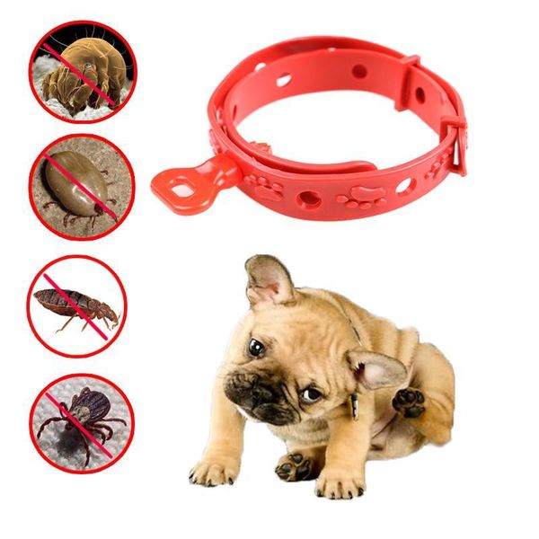 dog collars & leashes natural pet anti insect collar cat control necklace flea lice remedy tick mite neck strap repellent
dog collars & leashes natural pet anti insect collar cat control necklace flea lice remedy tick mite neck strap repellent