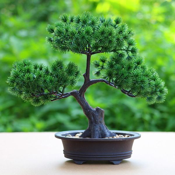 decorative flowers & wreaths green welcoming pine bonsai simulation artificial potted plant fake tree ornament home garden office desk decor
decorative flowers & wreaths green welcoming pine bonsai simulation artificial potted plant fake tree ornament home garden office desk decor