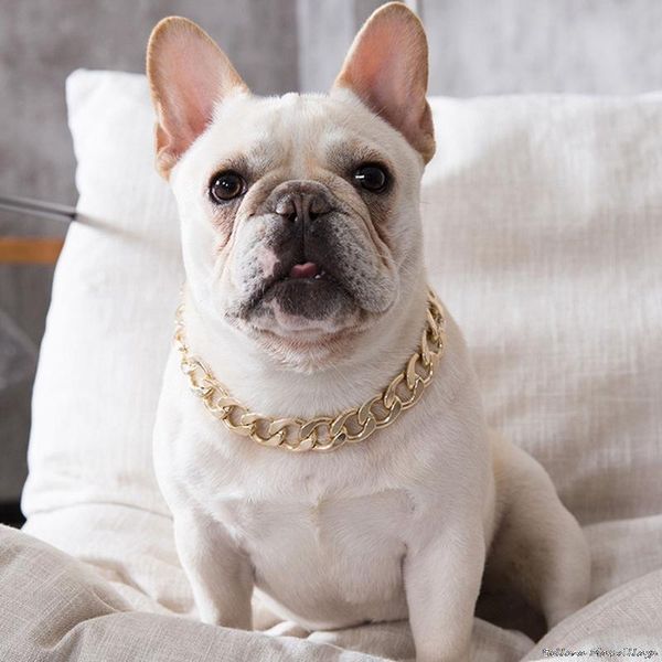 pet dog cat chain collar puppy necklace personalized bulldogs bully gold powerful plastic for dogs jewelry accessories apparel
pet dog cat chain collar puppy necklace personalized bulldogs bully gold powerful plastic for dogs jewelry accessories apparel