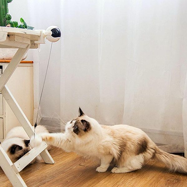 cat toys electronic motion toy electric flutter rotating interactive puzzle smart pet ball yo-yo lifting
cat toys electronic motion toy electric flutter rotating interactive puzzle smart pet ball yo-yo lifting
