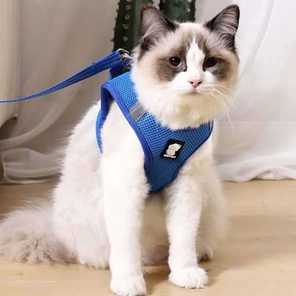 dog collars & leashes puppy polyester mesh harness breathable and anti-breakaway cat with tethered rope chain traction chest strap
dog collars & leashes puppy polyester mesh harness breathable and anti-breakaway cat with tethered rope chain traction chest strap