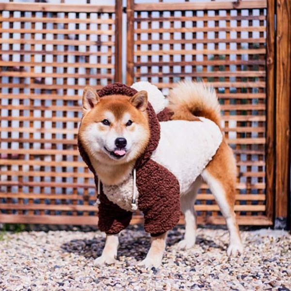 dog apparel outwear cotton blends puppy fashion pet clothes autumn winter warm soft coat outfit with hood casual plush holiday party 
dog apparel outwear cotton blends puppy fashion pet clothes autumn winter warm soft coat outfit with hood casual plush holiday party